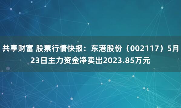 共享财富 股票行情快报：东港股份（002117）5月23日主力资金净卖出2023.85万元