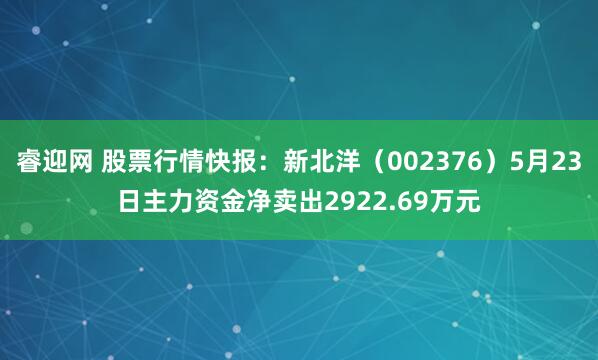 睿迎网 股票行情快报：新北洋（002376）5月23日主力资金净卖出2922.69万元