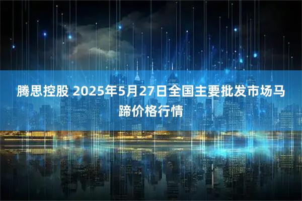 腾思控股 2025年5月27日全国主要批发市场马蹄价格行情
